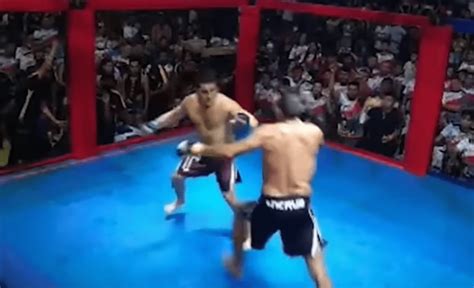 Brazilian Politicians Settle Their Differences In Mma Styled Fight