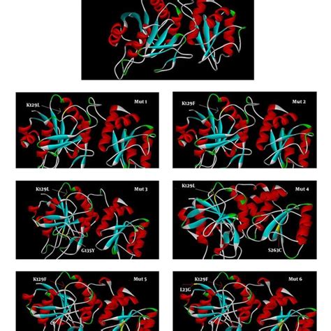 3d Model Structure Of Predicted Protein Illustrated By I Tasser