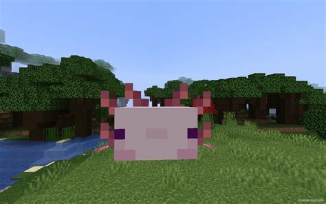 Minecraft Axolotl Tail