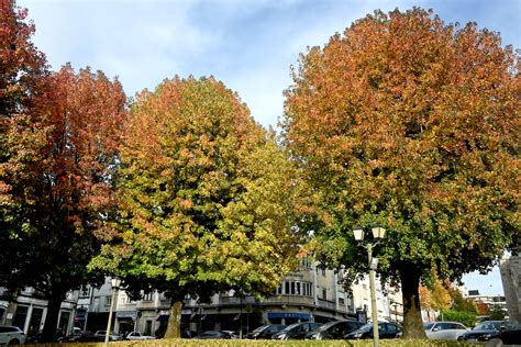 C Mara Municipal De Braga Comunica O Not Cias Braga Lan A