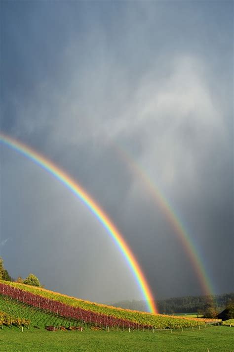 Regenbogen Regen Landschaft Kostenloses Foto Auf Pixabay Pixabay