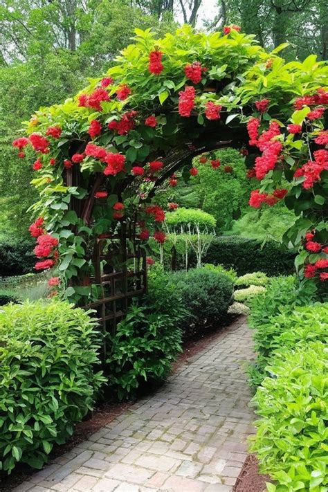 10 Best Perennial Vines