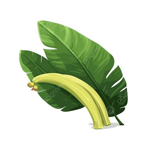 Daun Pisang Vektor Clipart Stiker Dalam Gaya Kartun Gifs Animasi