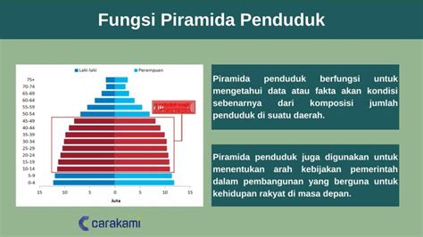 Piramida Penduduk Indonesia Pengertian Fungsi Jenis Gambar