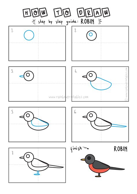 How To Draw A Robin Bird