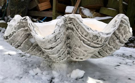 Giant Clam Shell Sculpture Art Ornament Bowl Handmade Finished Etsy