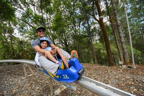 Razorback The First Mountain Coaster In The Philippines Sunkid