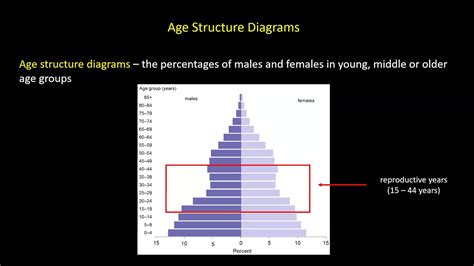 Age Structure Diagram Explained Diagrams Bartleby Growth Cir