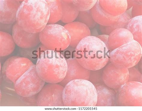 Plum Prune Prunus Domestica Aka European Stock Photo