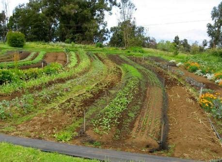 Four Benefits of Contour Farming – Kansas Permaculture Institute