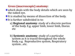 Introduction To Human Anatomy Ppt