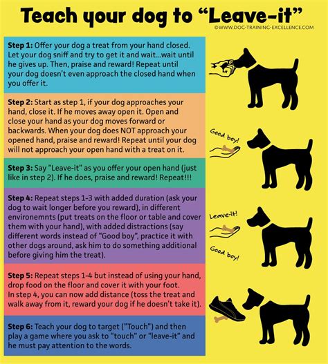 Dog training – Artofit