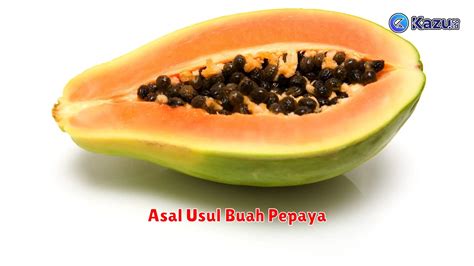 7 Manfaat Buah Pepaya Yang Menakjubkan Untuk Kesehatan Life Style