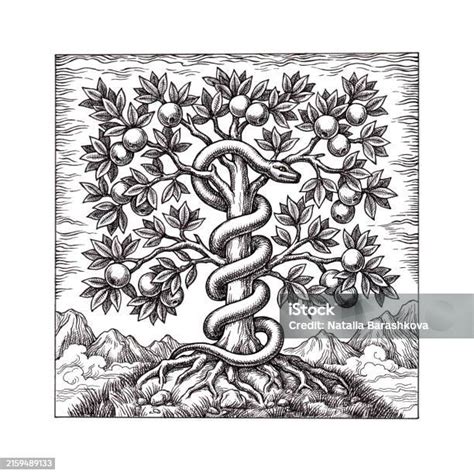 The Tree Of Knowledge And The Serpent Stock Illustration Download Image Now Ancient History