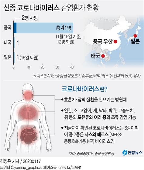 그래픽 신종 코로나바이러스 감염환자 현황 연합뉴스