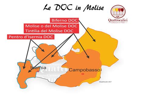 Molise La Guida Al Vino E All Enoturismo Di Quattrocalici