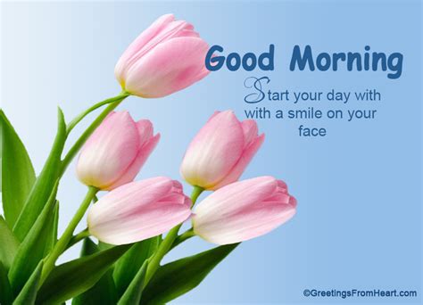 Start Your Day With Smile Good Morning Wishes Images