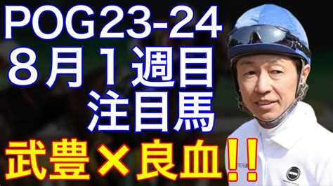 【pog23 24】8月1週目デビューの注目新馬を紹介【武豊×良血ドゥラメンテ産駒が札幌に登場！！】 Youtube