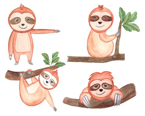 Watercolor Sloth Clipart Set Cute Sloth Watercolor Clipart 19201003