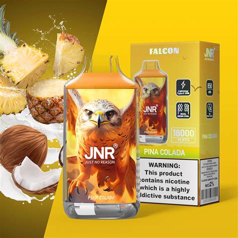 JNR Falcon 16000 Puffs High Capacity Rechargeable Disposable Vape RPM