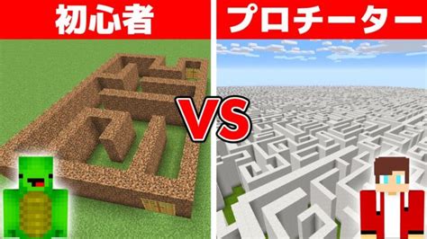 初心者 Vs プロチーター 巨大秘密迷路作り対決 Minecraft Summary マイクラ動画