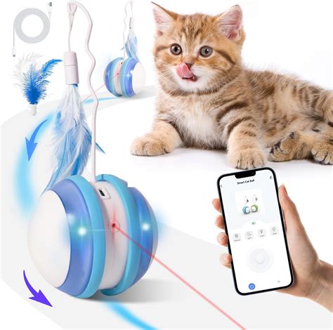 Amazon Deeniner Interactive Automatic Cat Feather Toys For Indoor