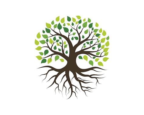 Premium Vector | Tree icon logo template vector