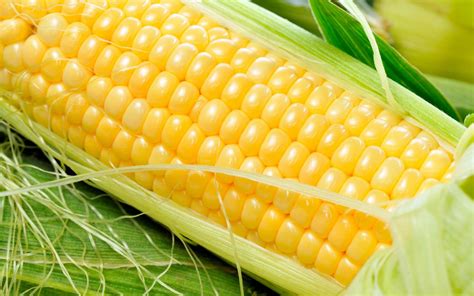 Wallpaper Fresh Corn