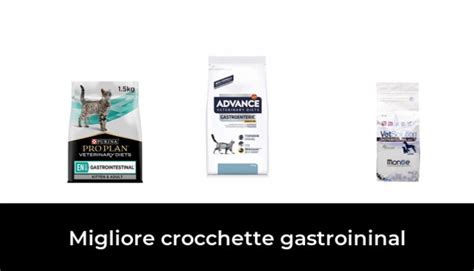 Migliore Crocchette Gastroininal Nel Secondo Gli Esperti