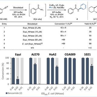 Integrated Chemo And Biocatalytic Synthesis Of Aliphatic Amides A