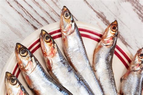 Receta De Sardinas A La Plancha Al Estilo Casero