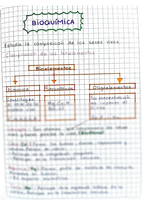 Solution Caracteristicas De Los Seres Vivos Y La Bioqu Mica Studypool