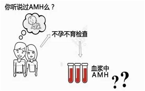 Amh是什么检查项目（评估卵巢储备功能） — 未解之谜网