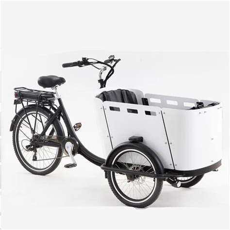 V Lo Cargo Lectrique 3 Roues Pour Adulte Tricycle Familial Pour Le