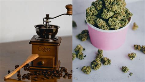 How To Grind Weed Without A Grinder Alpacannabis