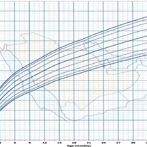 Head Circumference For Age Percentiles Girls 2 To 19 Years Download Scientific Diagram