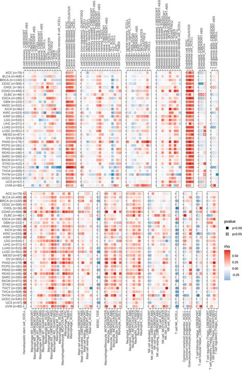 Frontiers Cd Correlates With Immune Infiltration And Impacts