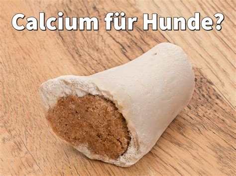 Calcium ist für Hunde unverzichtbar Aber wie hoch ist der