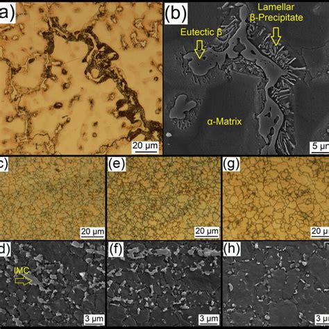 A B Lom And Fesem Micrographs Showing Microstructure Of As Cast Az91 Download Scientific