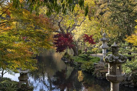 Le Parc vu de jour Parc Oriental de Maulévrier