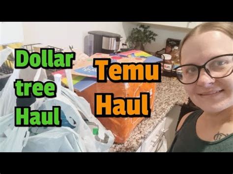 TEMU HAUL And DOLLAR TREE HAUL Christmas Halloween Finds Stanley