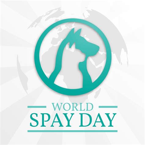 World Spay Day To Celebrate The Importance Of Animal Birth Control