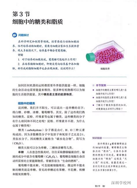 《第3节 细胞中的糖类和脂质》2019年审定人教版高中生物必修一中学课本网