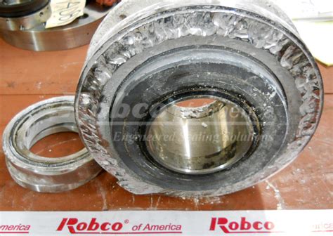 Netzsch Double Beadmill Seal Repair Robco Of America