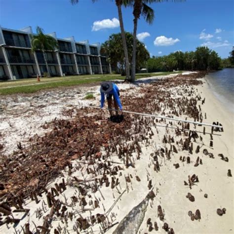 Florida Oceanographic Society ‘its Devastating Florida Questioning