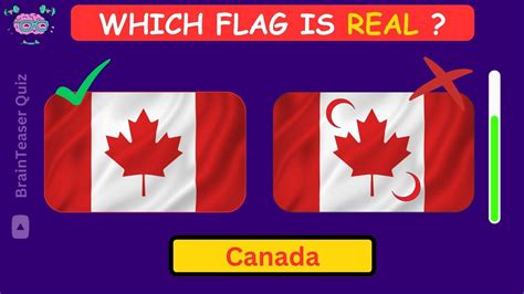 Guess The Correct Flag Guess And Learn All 50 Flags Flag Quiz Youtube