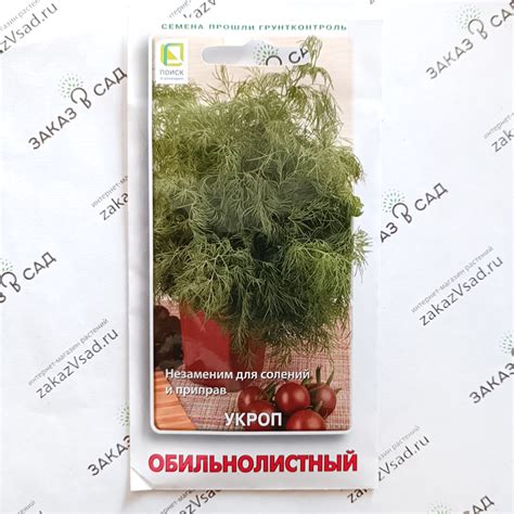 Описание укропа, сорт Обильнолистный - семена с доставкой