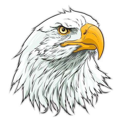 Bald Eagle Head Drawing