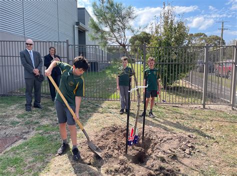 Lumen Christi Primary School Lone Pines