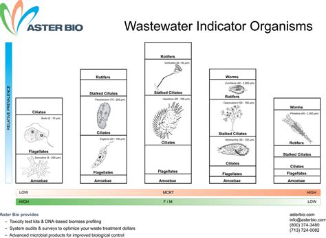 Useful Information - BIOLOGICAL WASTE TREATMENT EXPERT